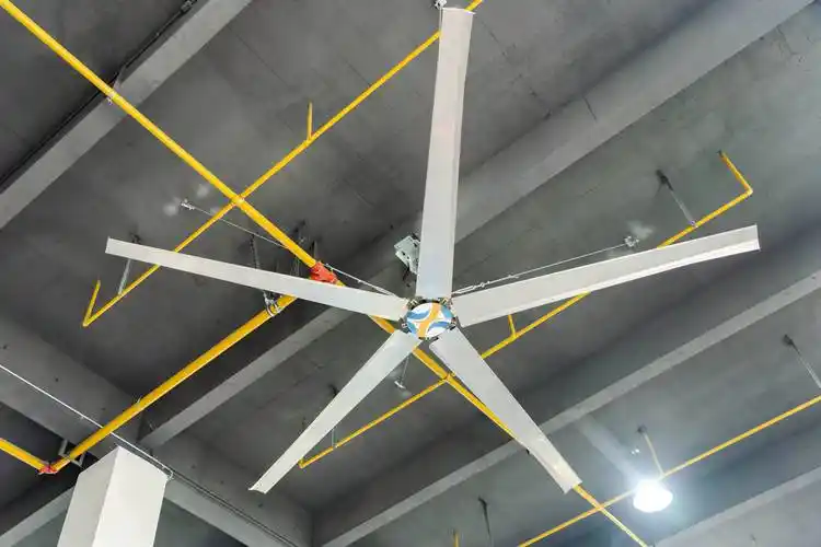 微信图片_20250117110651